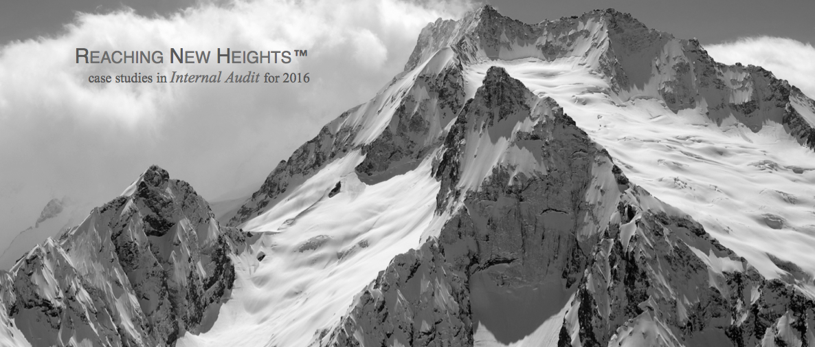 Wight Partners Reaching New Heights Case Studies in Internal Audit 2016